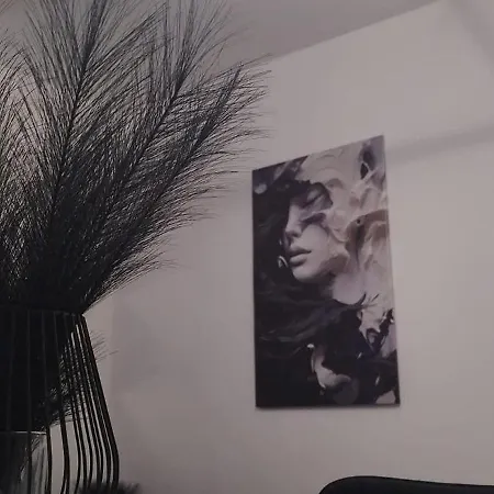 Yvo 18 By Signature * Năvodari