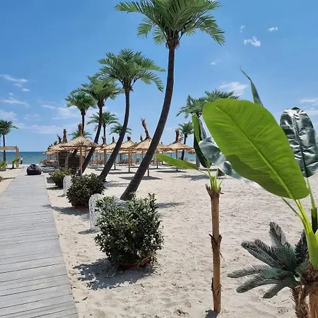 Yvo 18 By Signature 那沃达利